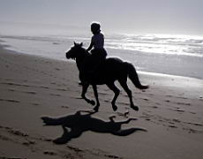 1078 cintsa IMGP5703.JPG